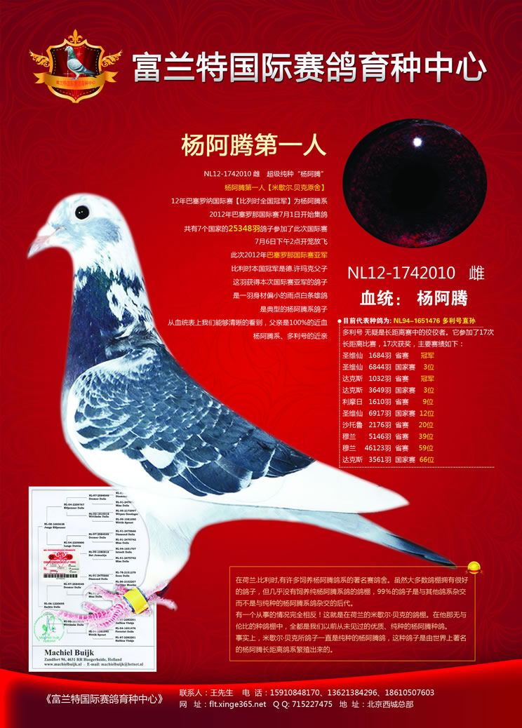杨阿腾第一人【米歇尔.贝克原舍】