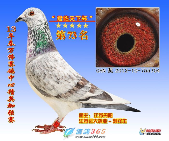 胡本年青<em>艺术</em>家<em>x</em>乔斯托内白雪公主<em>女神</em> - 信鸽