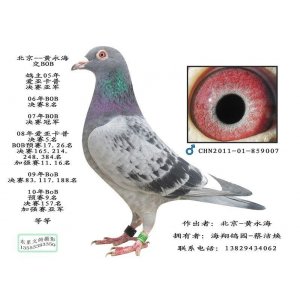 北京--黄永海交BOB