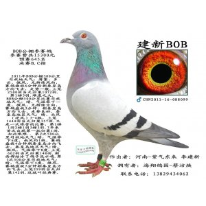 紫气东来   李建新